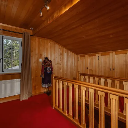 Ski In Ski Out Authentic Lux Chalet On The Wispile * グスタード